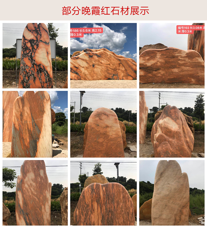 晚霞红1.jpg